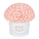 100 Pink Everlasting Roses - White Signature Box