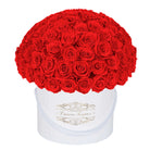 100 Red Everlasting Roses - White Signature Box