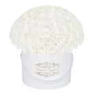 100 White Everlasting Roses - White Signature Box