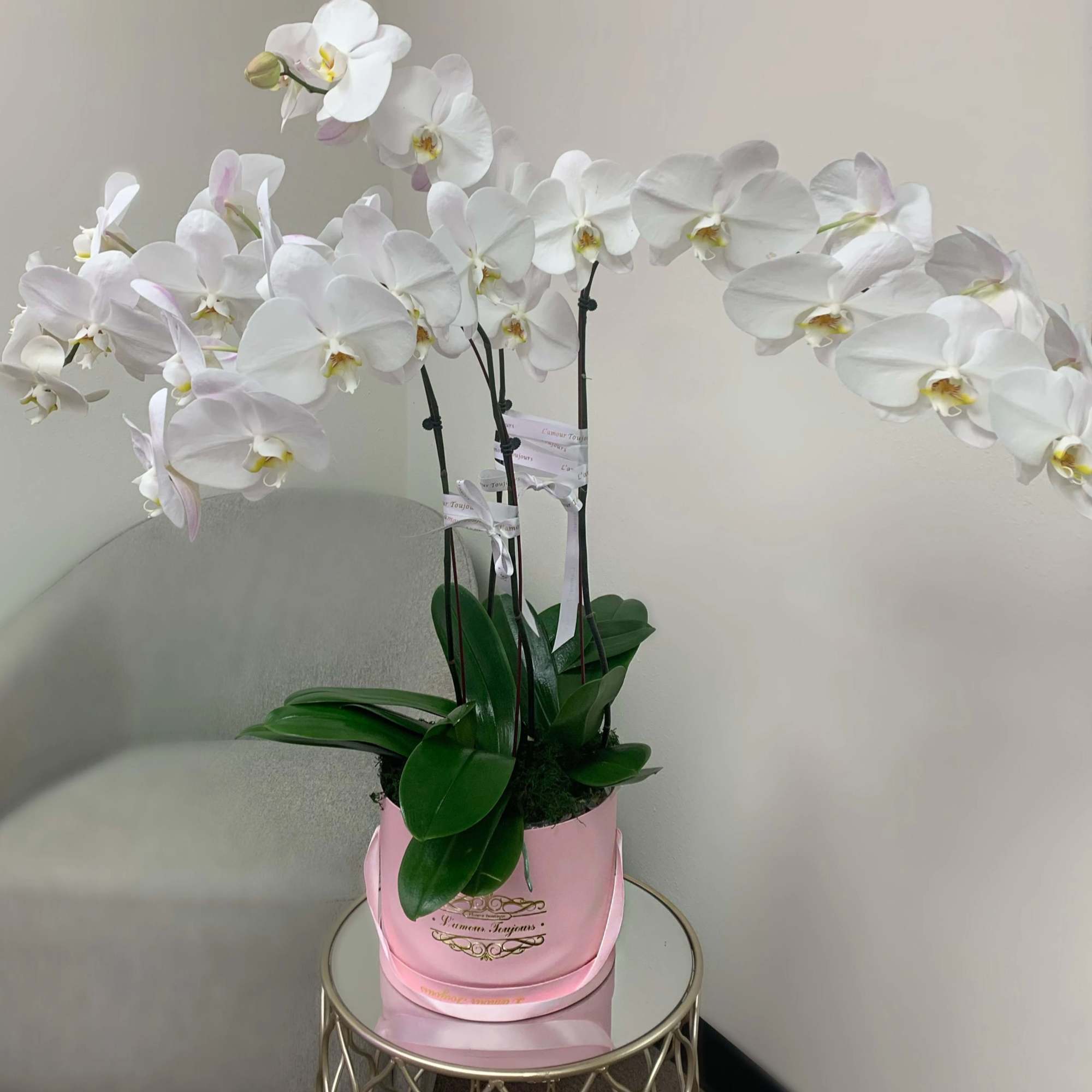 Cascade of Orchids Signature Box II