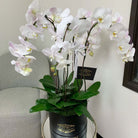 Cascade of Orchids Signature Box