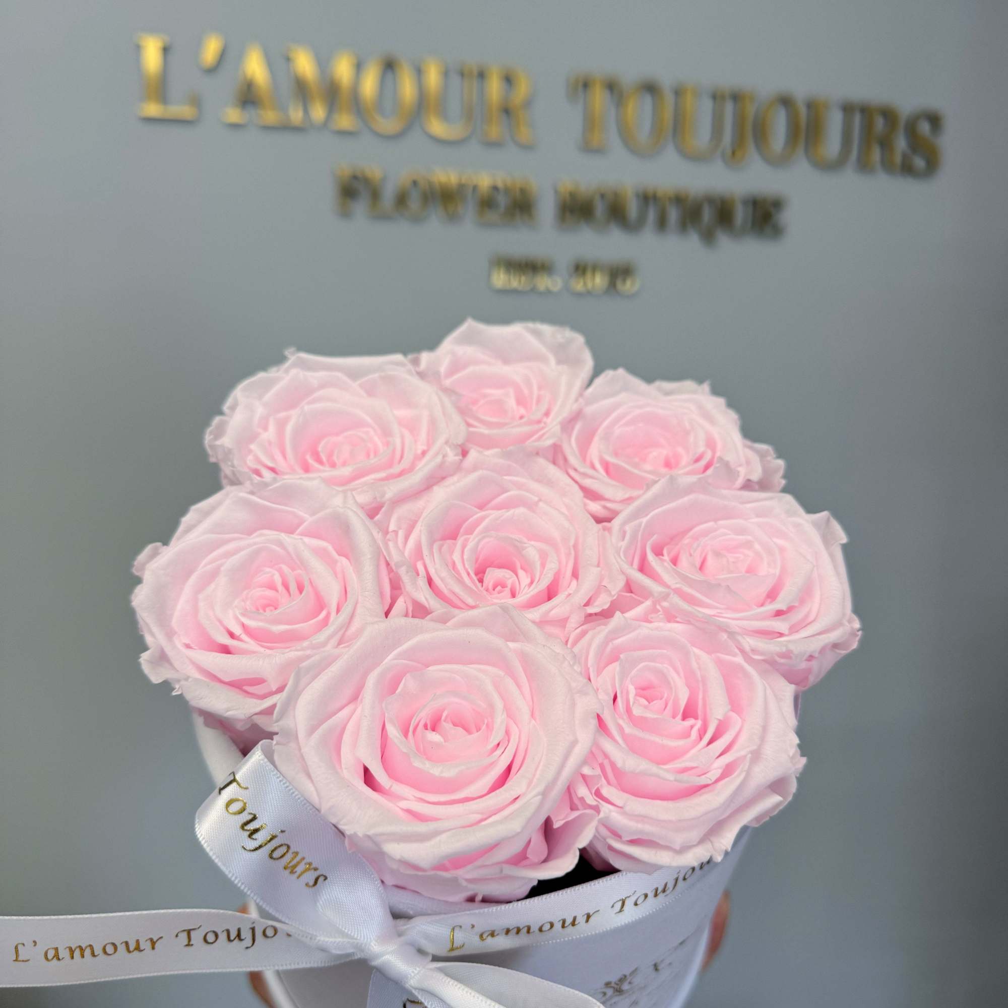 La Petite Everlasting Box - White Velvet