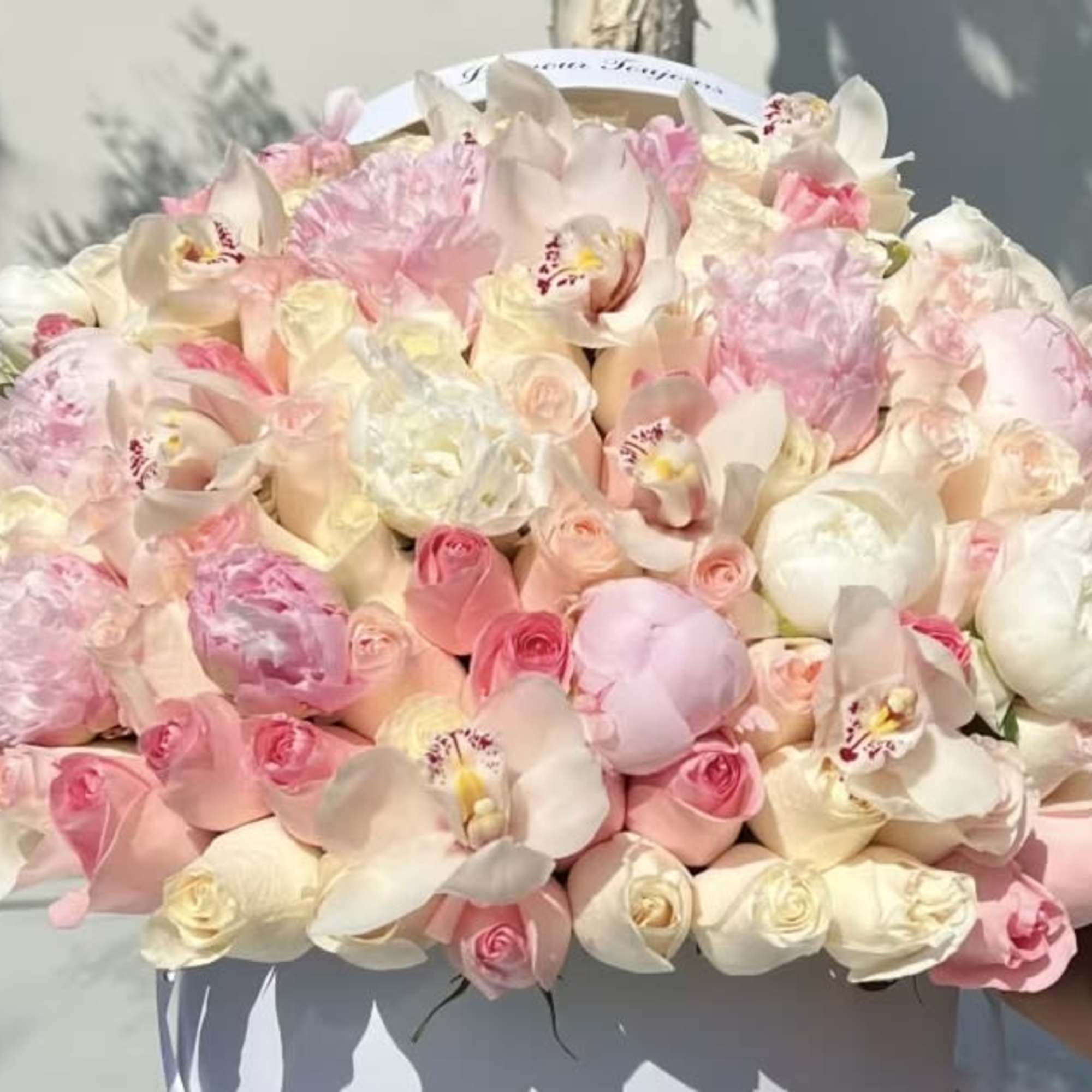 Tender Passion Signature Box