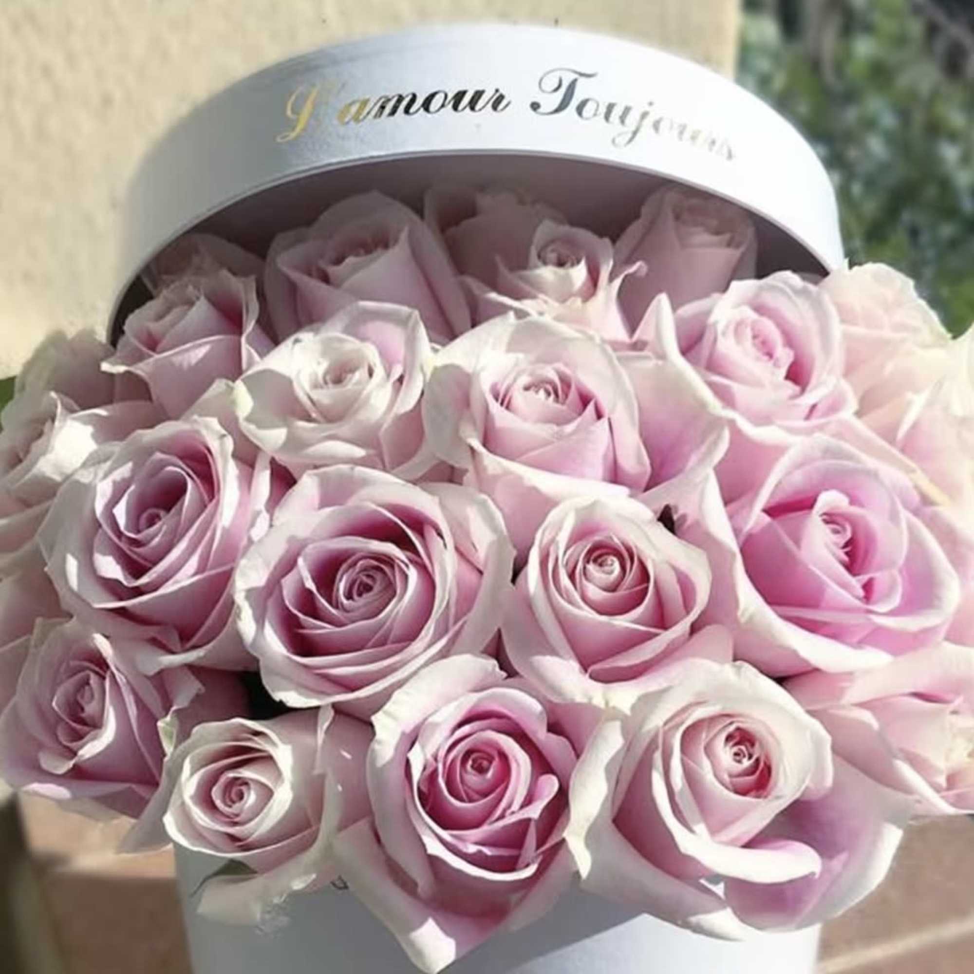 Le Petite Pink Rose Signature Box - Newport Beach Same Day Flower Delivery