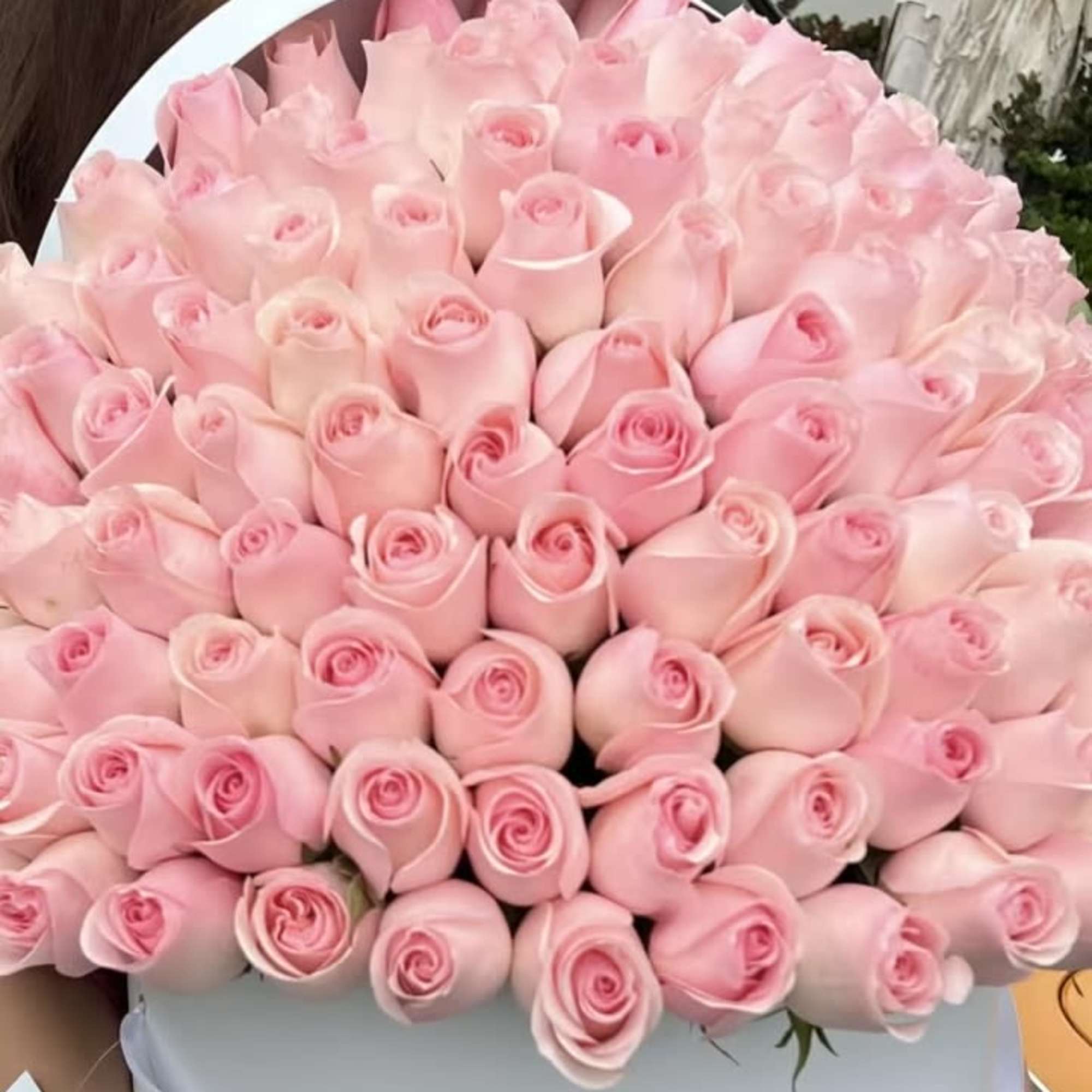 150 Pink Roses Signature Box
