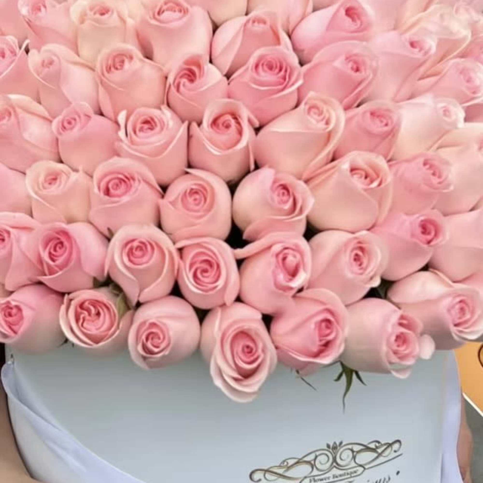 150 Pink Roses Signature Box